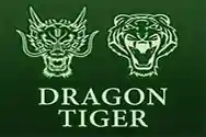 DRAGON TIGER