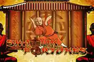 SHAOLIN FORTUNE