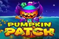 PUMPKIN PATCH