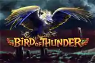 BIRD OF THUNDER