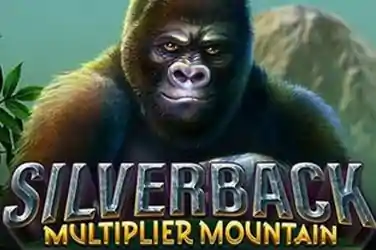 SILVERBACK MULTIPLIER MOUNTAIN