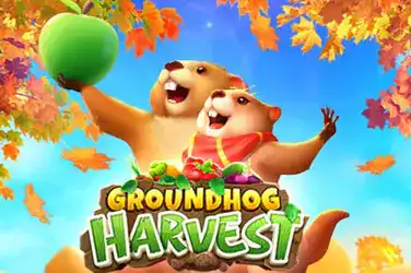 GROUNDHOG HARVEST