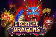 5 FORTUNE DRAGONS